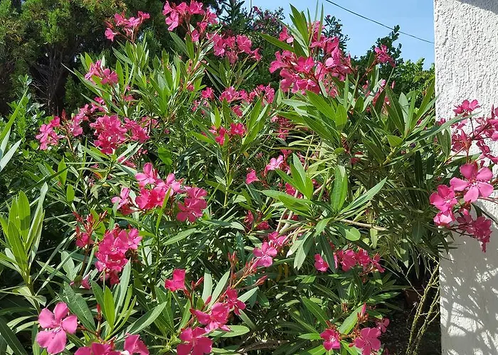 Nina Apartmán Silba