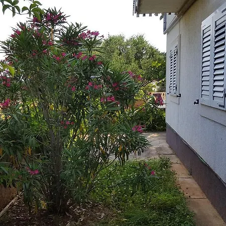 Nina Apartament Silba